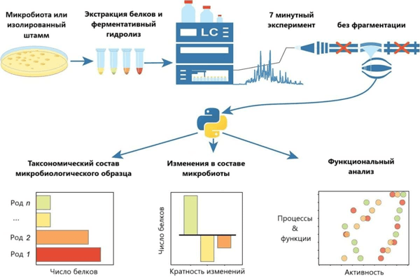 Микробиологи освоили метод, позволяющий за семь минут анализировать видовой состав и активность бактерий.