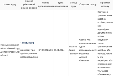 Дело о наезде летом / фото: судовой реестр