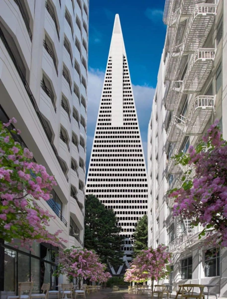 Transamerica Pyramid / © David Lipman